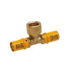 TI F 1/2X20 GAS  3AP6321220 PINZARE