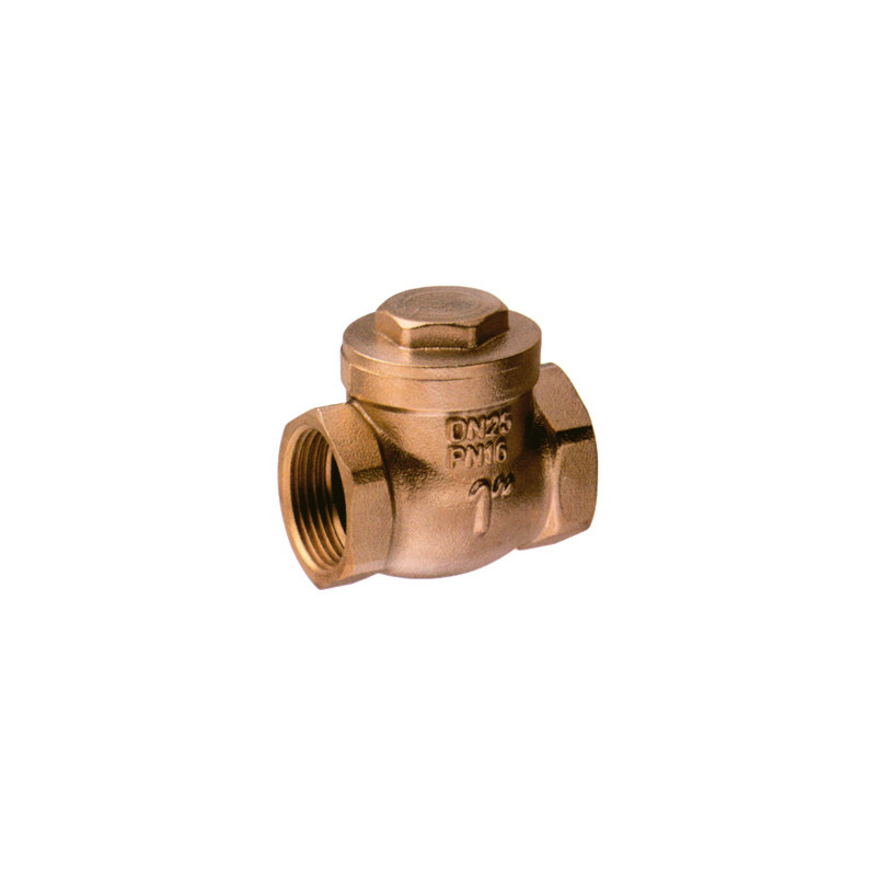 VALVOLA EUROPA 2'' DN 50 PN 16 CLAPET